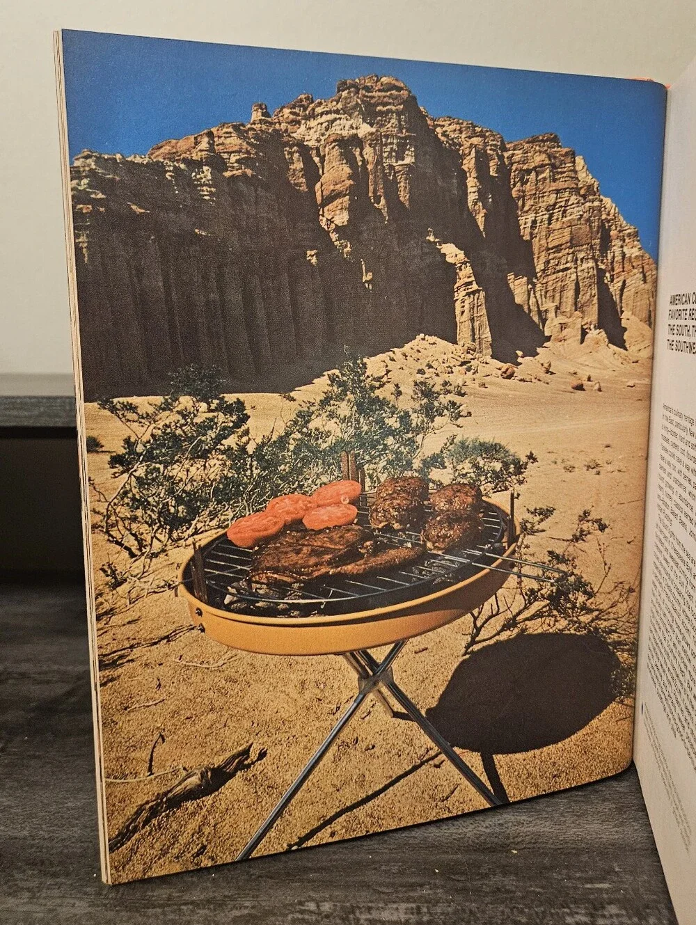 Vintage 1972 Family Circle Illustrated Library of Cooking Volume 1